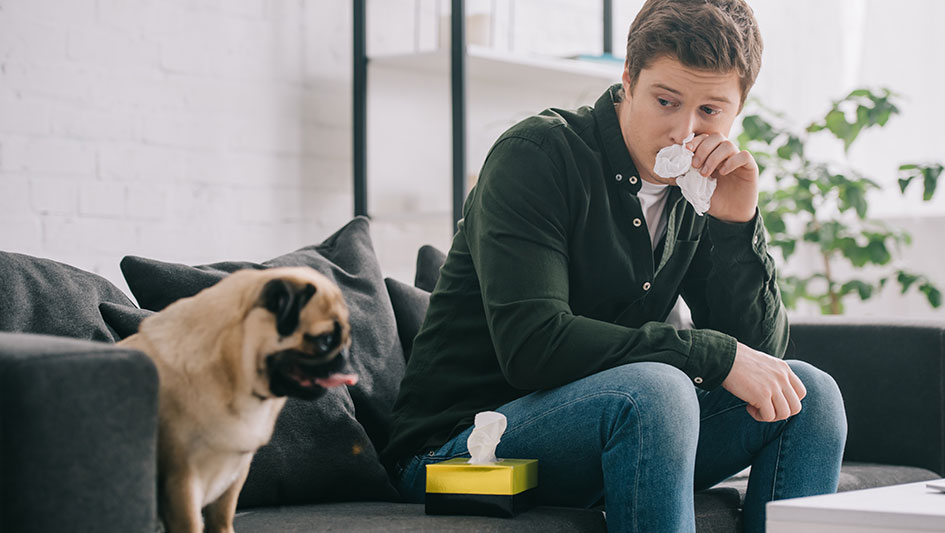 Getting an air purifier is one of the top methods to improve your residence’s indoor air quality. Find out more about the three best options. 